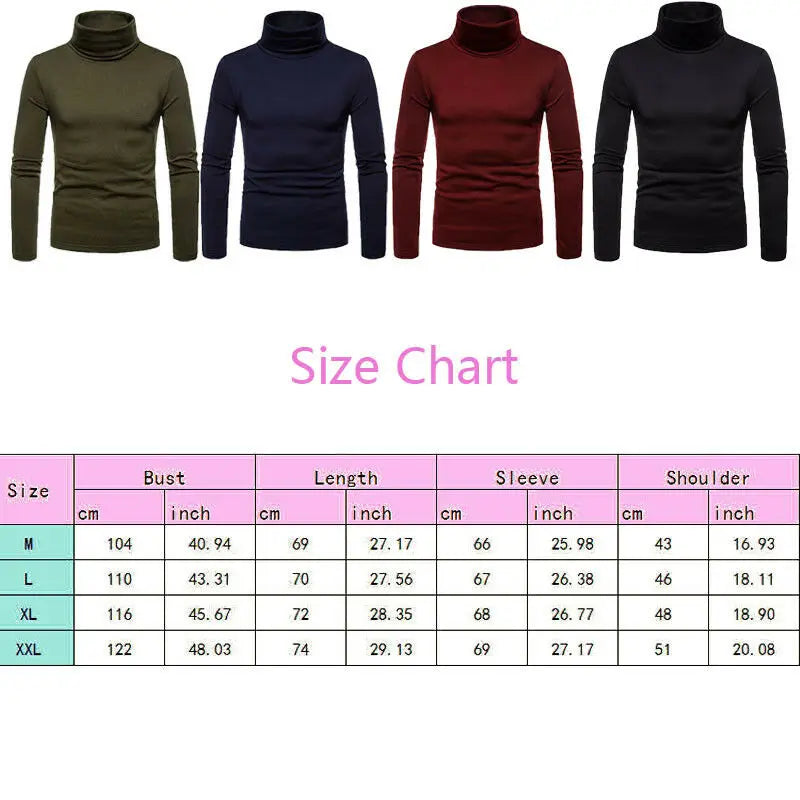 Men's Sweaters Winter Autumn Turtleneck Long Sleeve Plain
