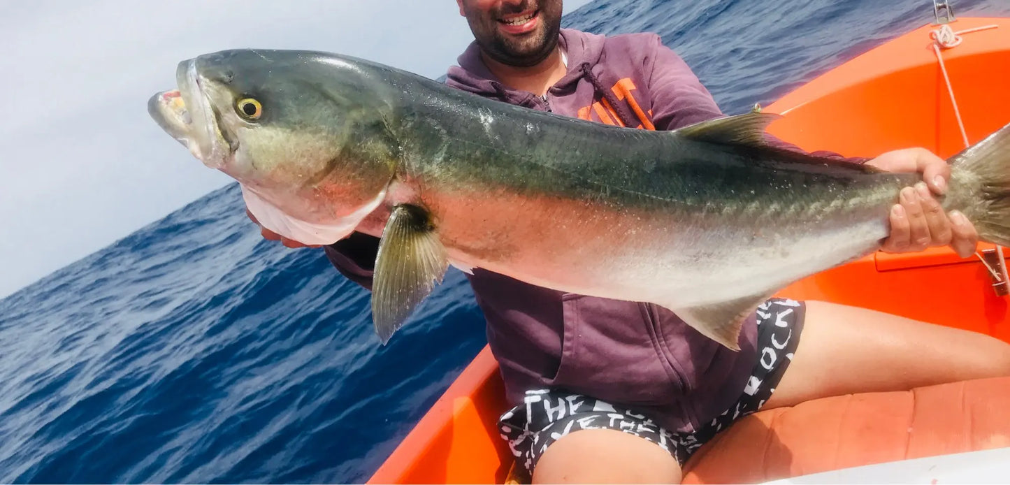 Trolling Fishing Lures, Rigged Skirted, Big Game, Marlin Tuna, Prowler, 13 ', 33cm