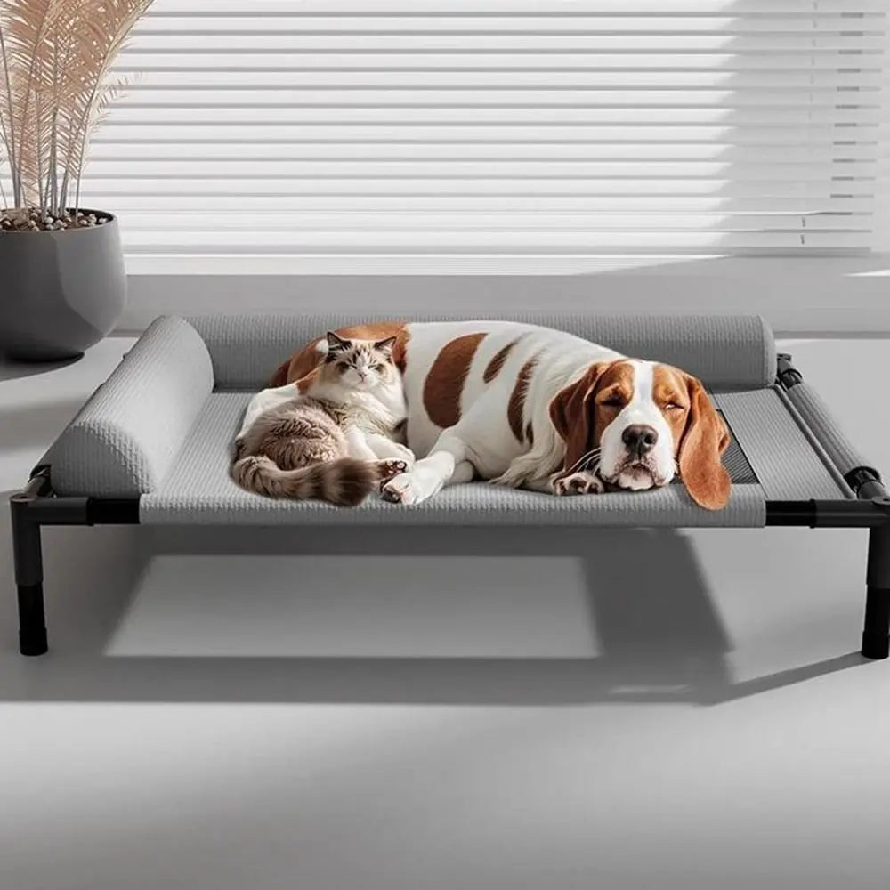 Washable Mesh Elevated Dog Beds Removable Breathable