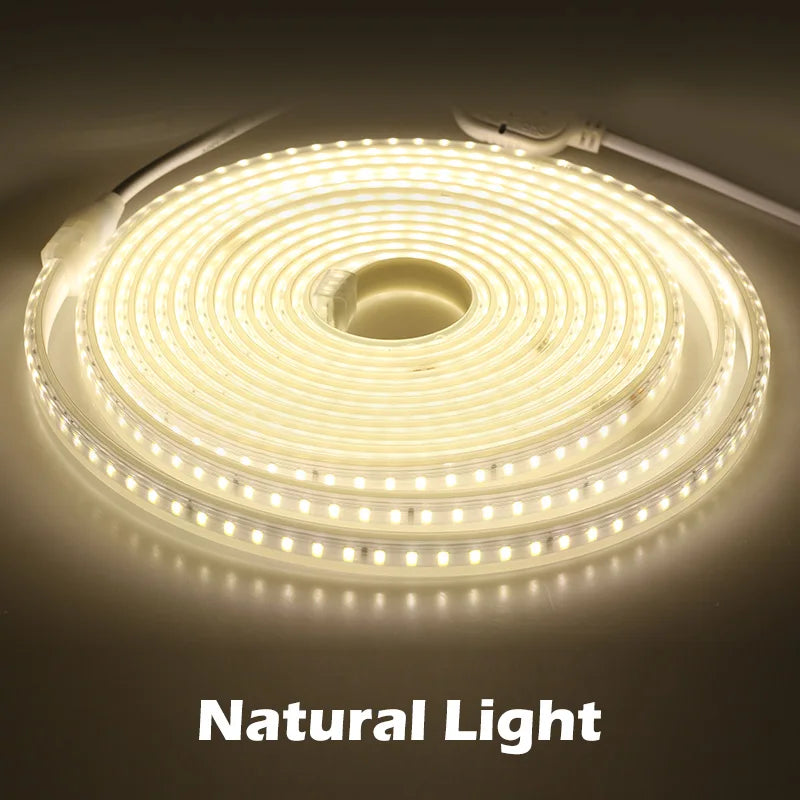 New Arrival 220V LED Strip 4040 High Safety High