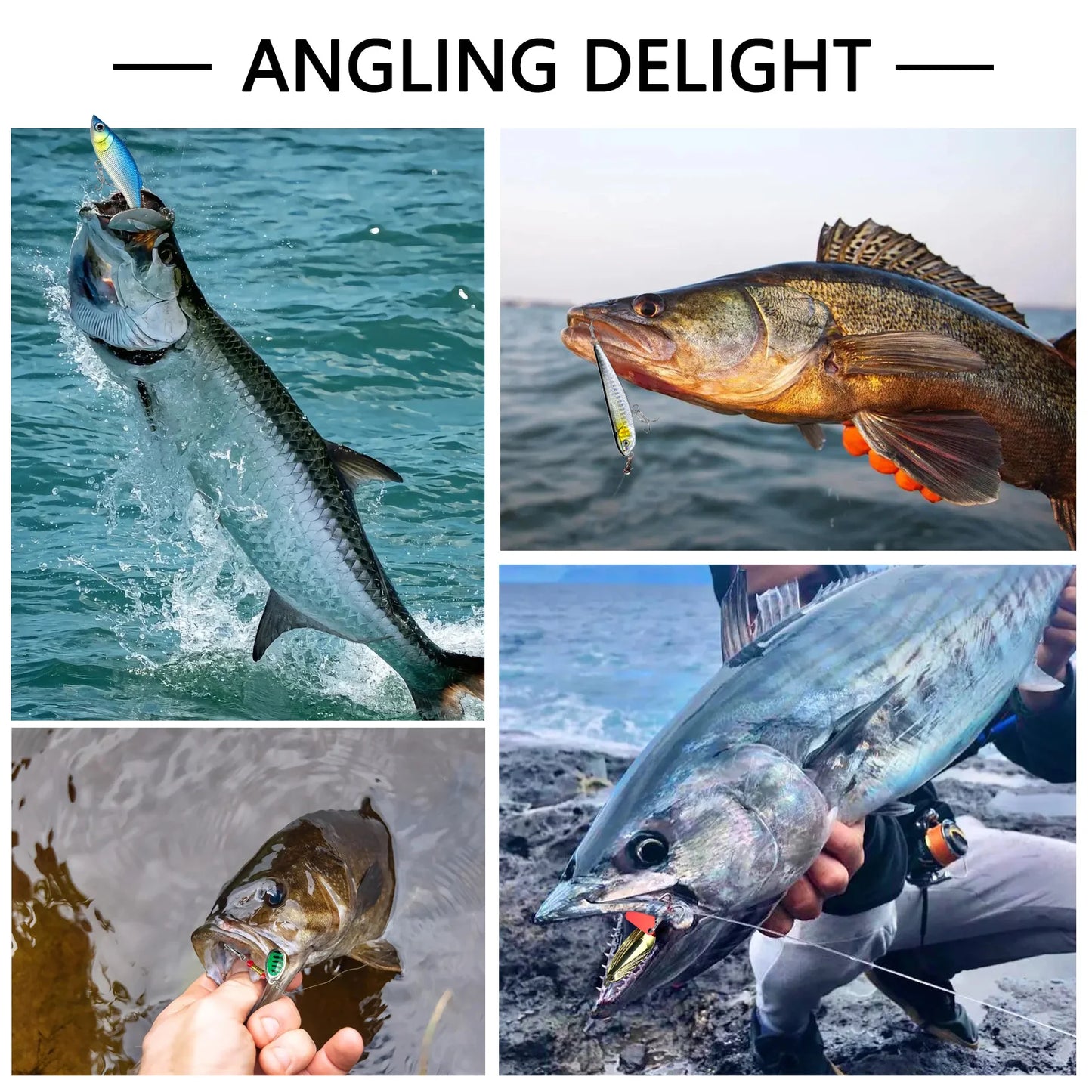 Fishing 26/60/83/122/239/409/410pcs