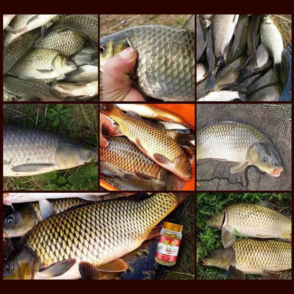 Bait Pellets Hanging Bait Freshwater Crucian Carp Grass Fish