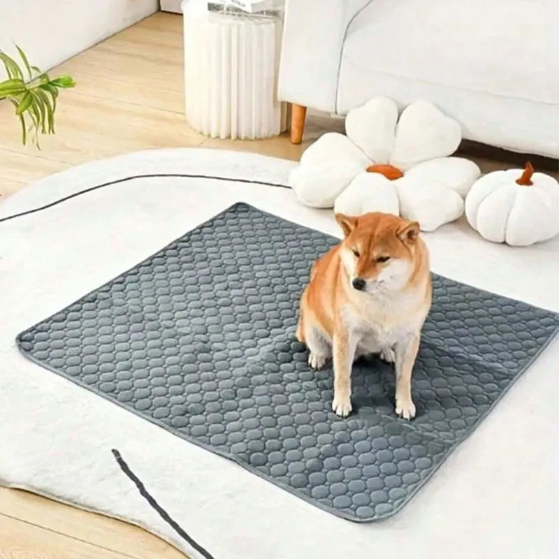 Dog Pee Pad Reusable Washable Dog Urine Mat Car Seat Floor