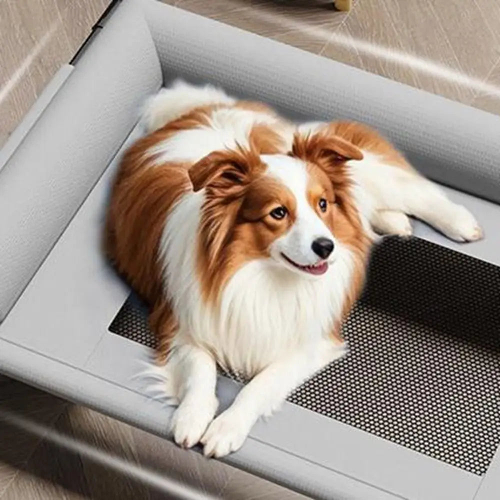 Washable Mesh Elevated Dog Beds Removable Breathable