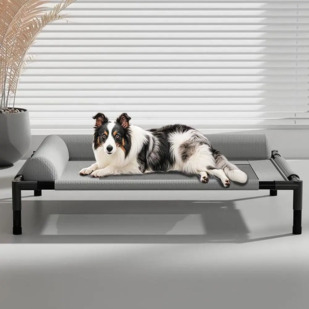 Washable Mesh Elevated Dog Beds Removable Breathable