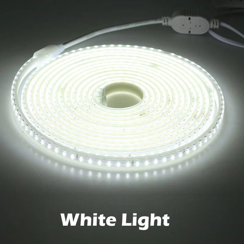 New Arrival 220V LED Strip 4040 High Safety High